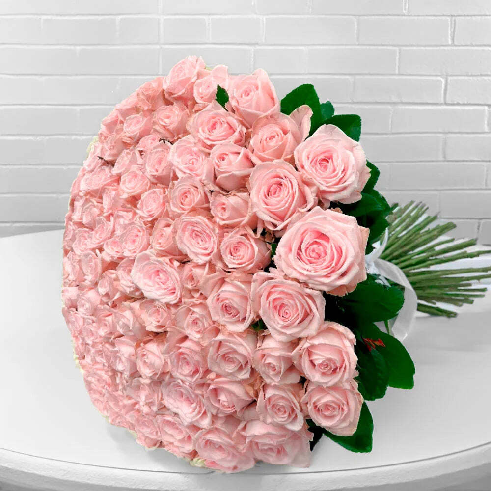 100 Pink Roses 100 Pink Roses