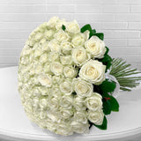 100 White Roses 100 White Roses