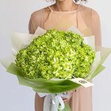 Green Hydrangea Bouquet Green Hydrangea Bouquet