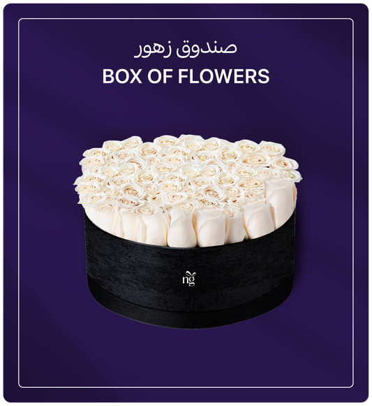 NoonGifts.Com