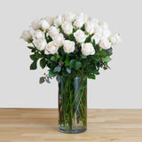 Elegant White Roses in a Glass Vase Elegant White Roses in a Glass Vase