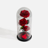 Everlasting Preserved Rose Red Everlasting Preserved Rose Red