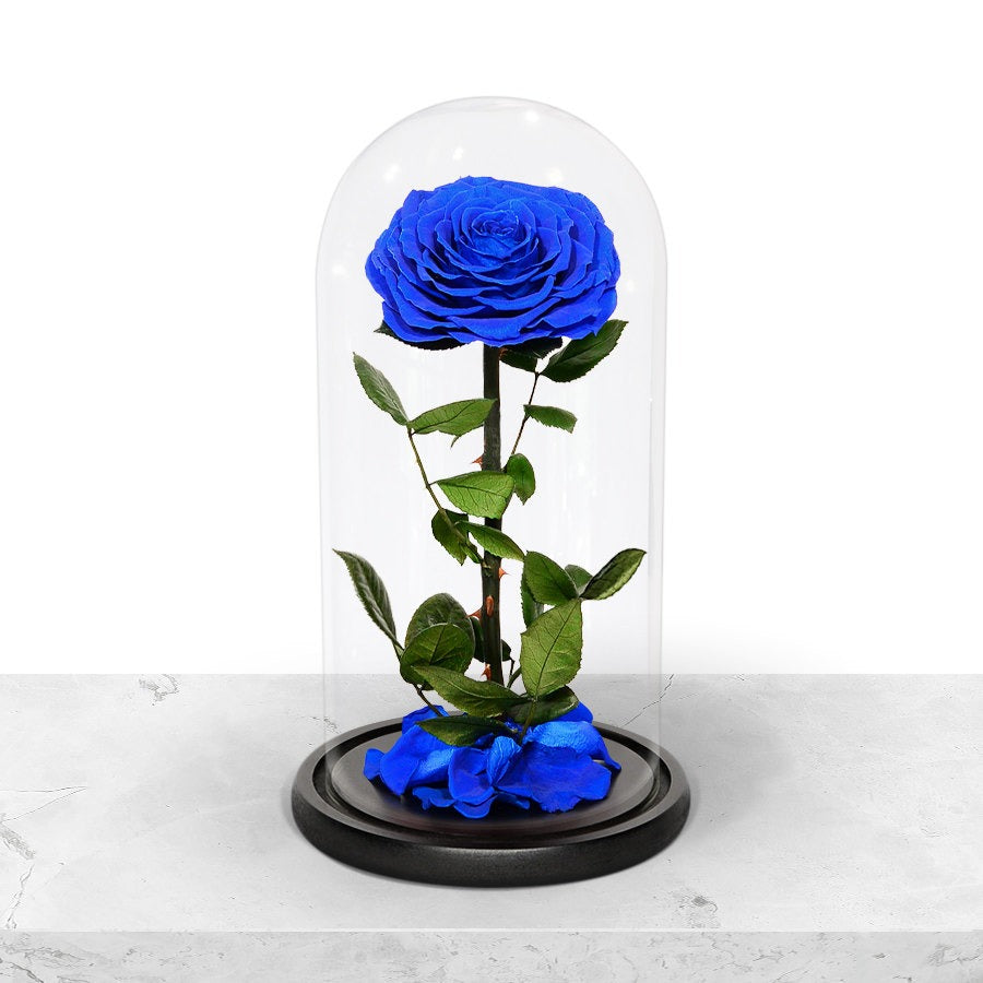 Forever Blue Rose in Glass Dome Forever Blue Rose in Glass Dome
