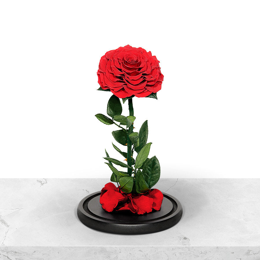 Forever Red Rose in Glass Dome Forever Red Rose in Glass Dome