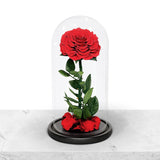 Forever Red Rose in Glass Dome Forever Red Rose in Glass Dome