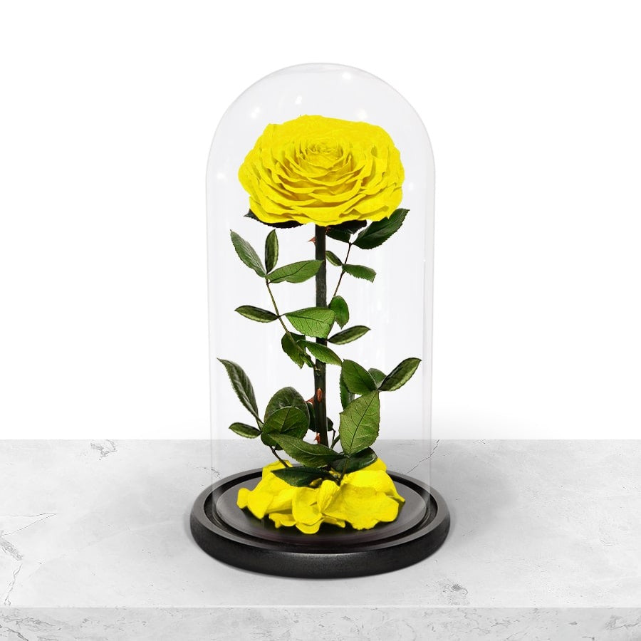 Forever Yellow Rose in Glass Dome Forever Yellow Rose in Glass Dome