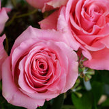 Pink Roses in a Glass Vase Pink Roses in a Glass Vase
