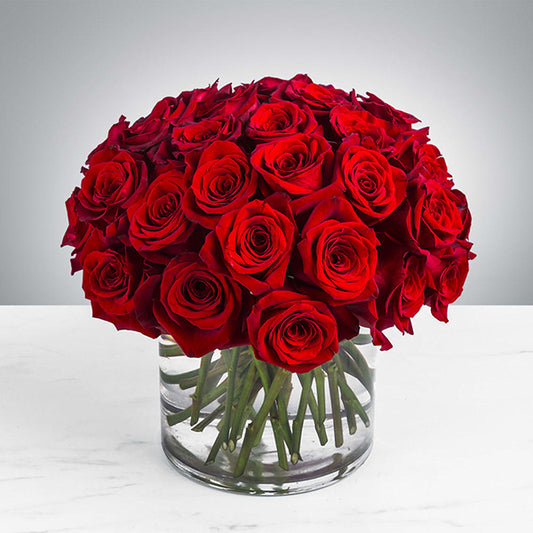 24 Red Roses Arrangement