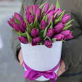 25 Purple Tulips in Box 25 Purple Tulips in Box