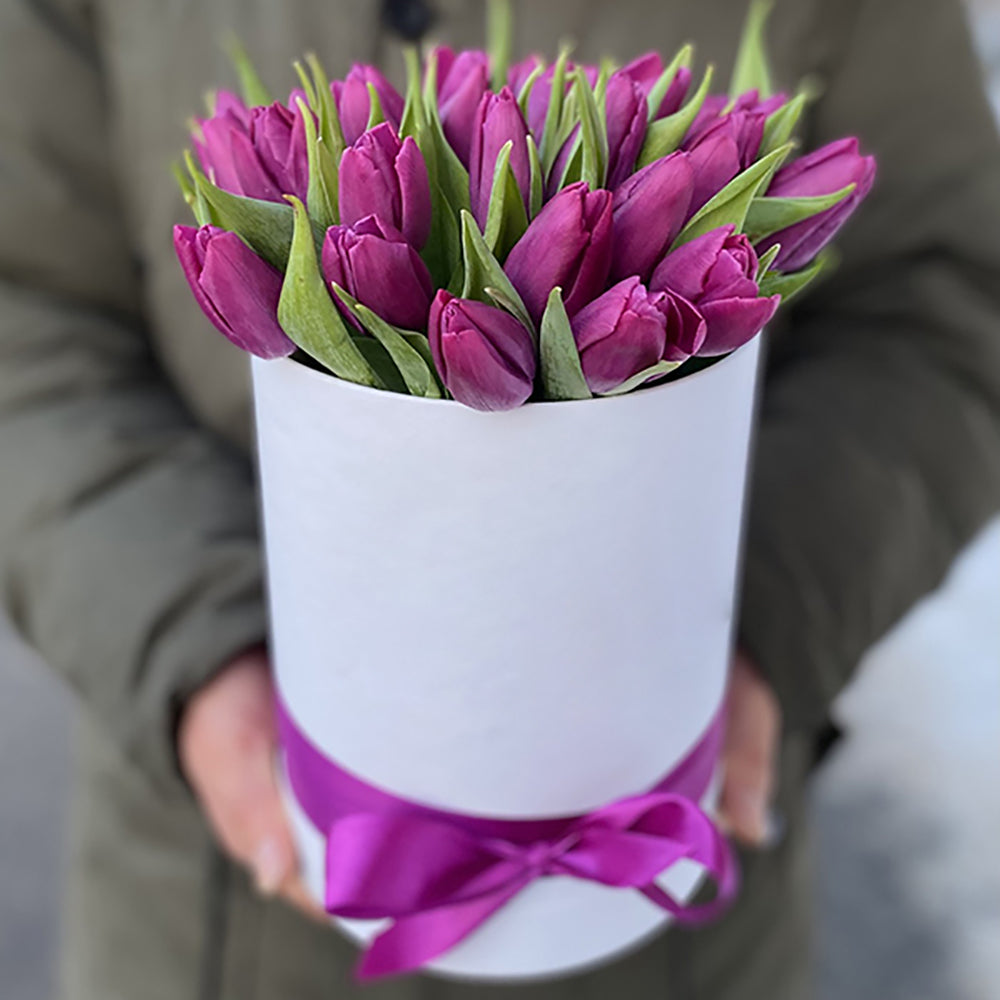 25 Purple Tulips in Box 25 Purple Tulips in Box