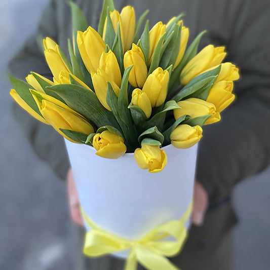 25 Yellow Tulips in Box