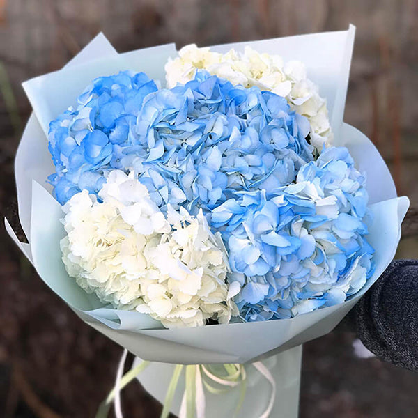 5 Blue and White Hydrangea Bouquet 5 Blue and White Hydrangea Bouquet