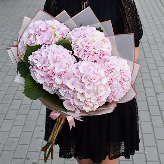 5 Pink Hydrangea Bouquet
