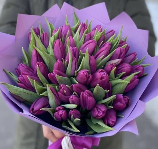 50 Purple Tulips Bouquet