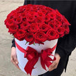 50 Red Roses in White Box