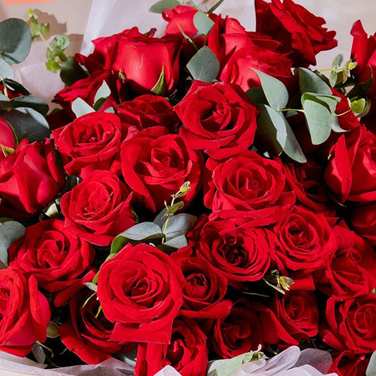 Dazzling Red Roses Bouquet