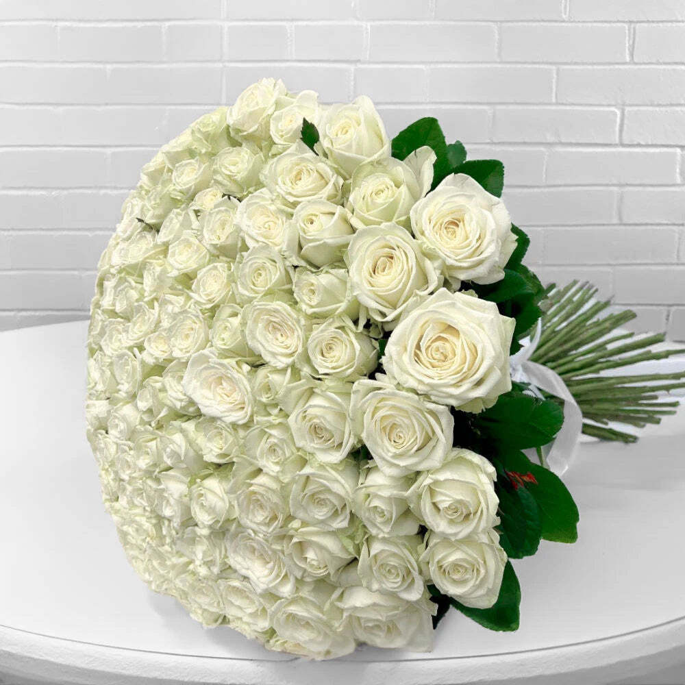 100 White Roses