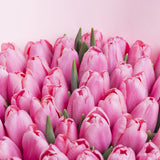 51 Pink Tulips Bouquet