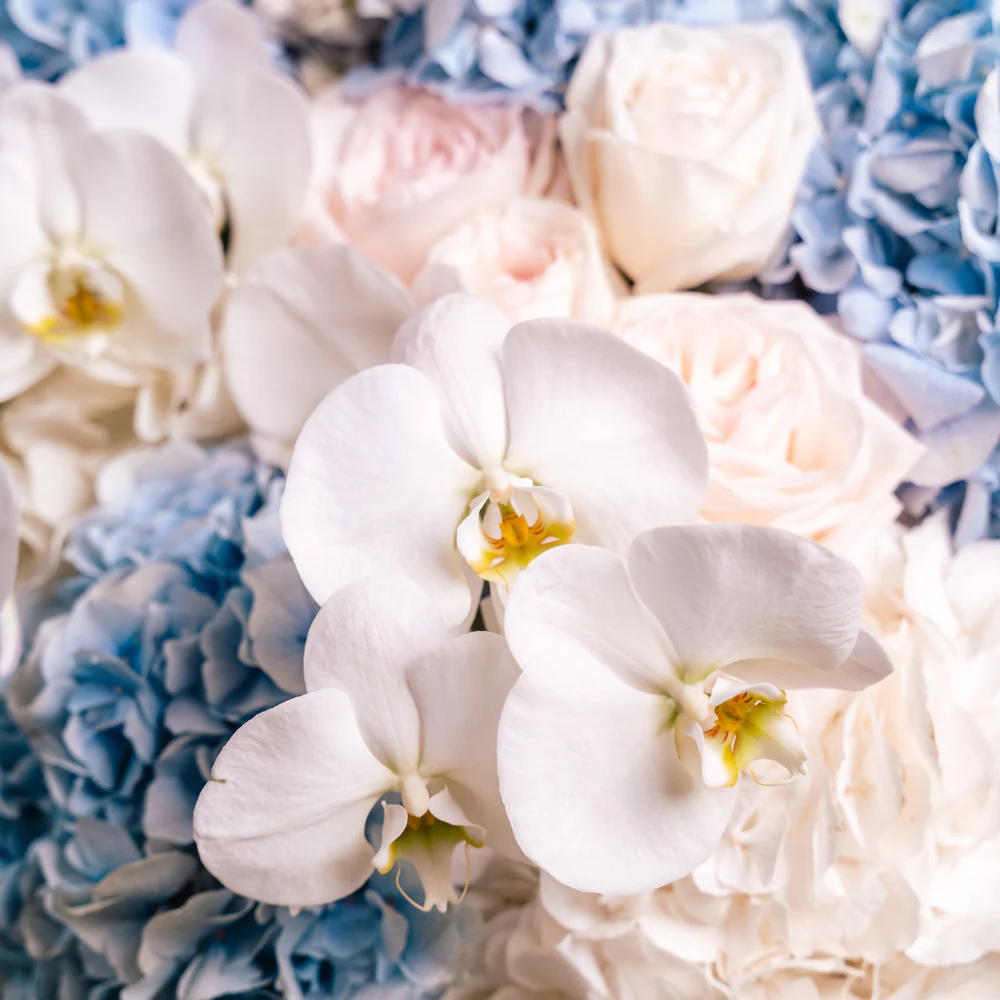 Azure Époque