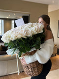 Ivory Promise