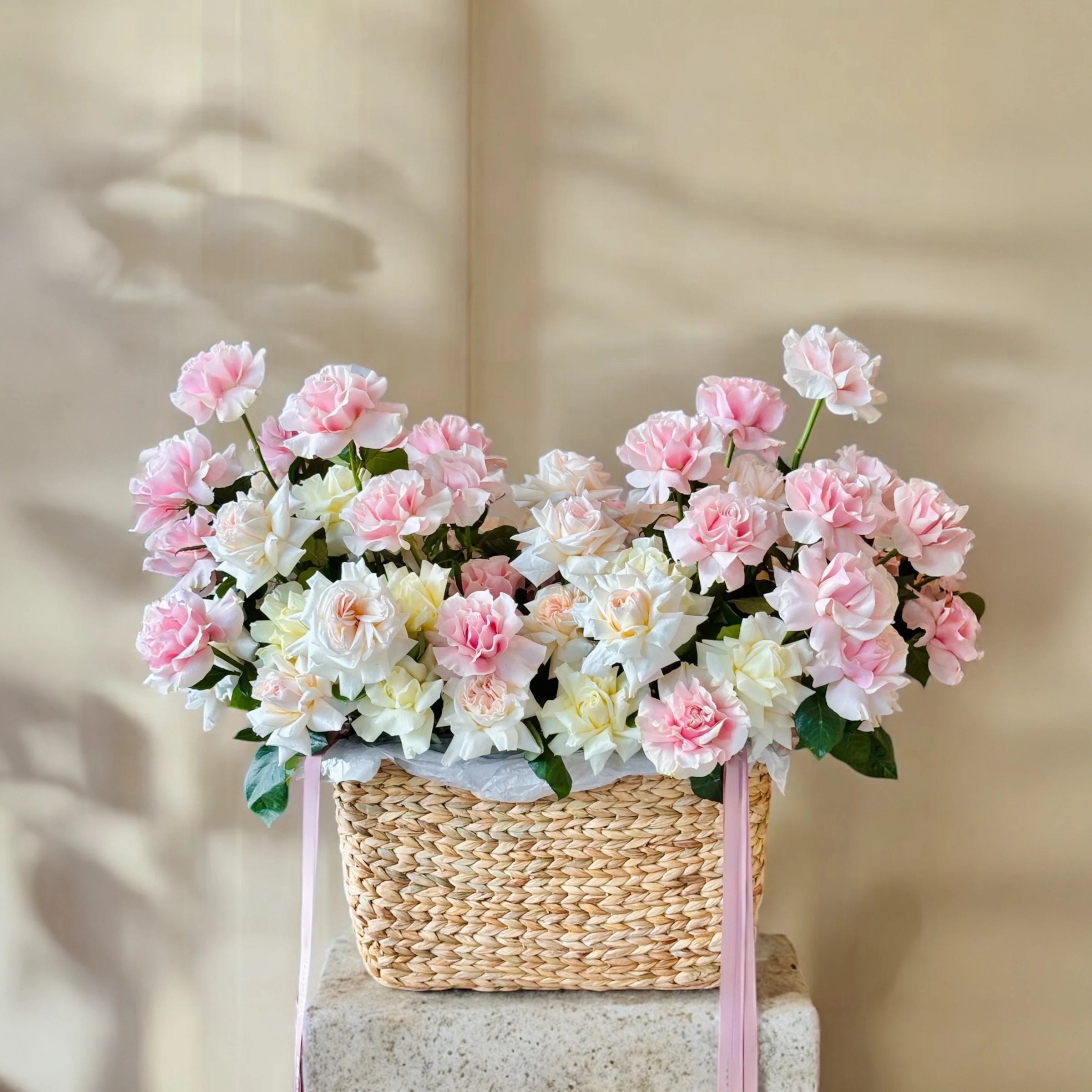 Rose Haven
