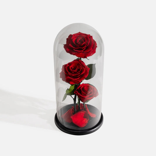 Everlasting Preserved Rose Red