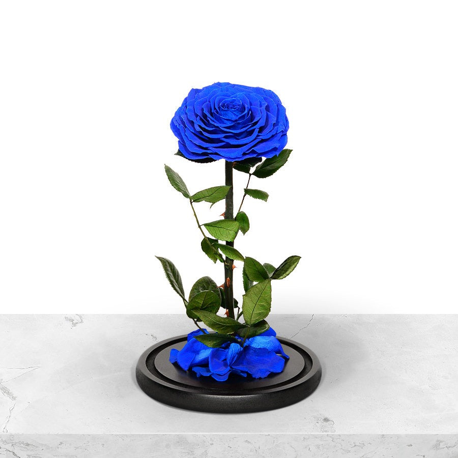 Forever Blue Rose in Glass Dome