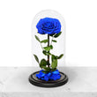 Forever Blue Rose in Glass Dome