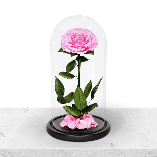 Forever Pink Rose in Glass Dome