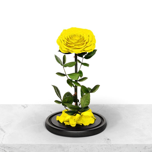 Forever Yellow Rose in Glass Dome