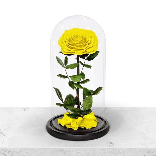 Forever Yellow Rose in Glass Dome