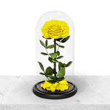 Forever Yellow Rose in Glass Dome