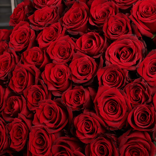 Long-Stem Red Roses