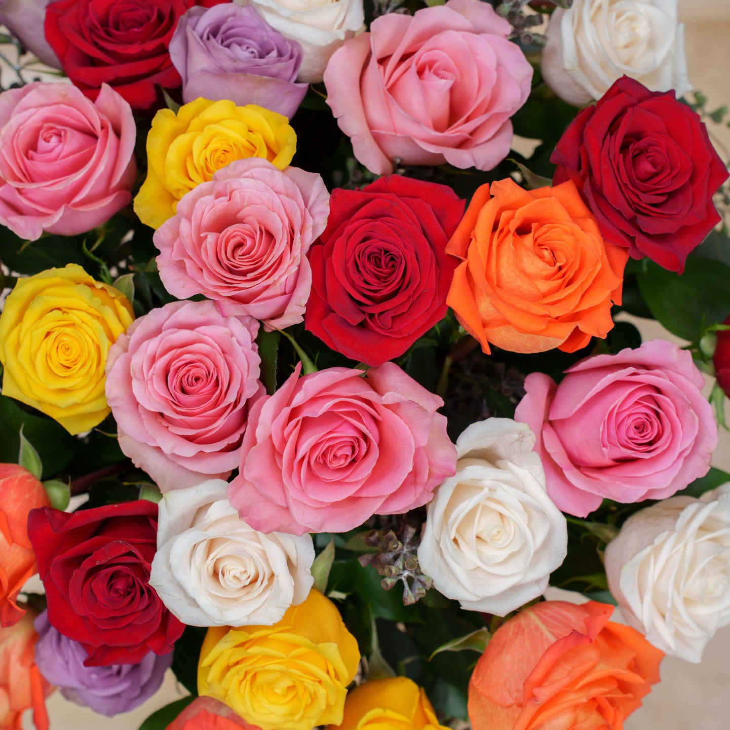 Mixed Color Roses in a Glass Vase