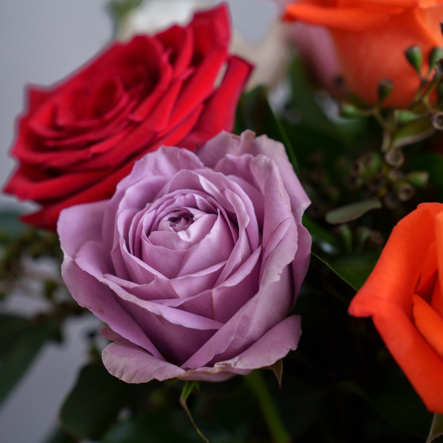 Mixed Color Roses in a Glass Vase