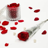 Single Red Roses (Set of 10)