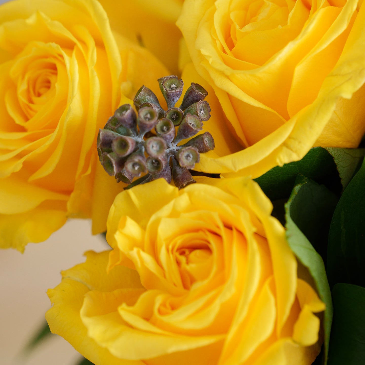 Yellow Roses in a Glass Vase