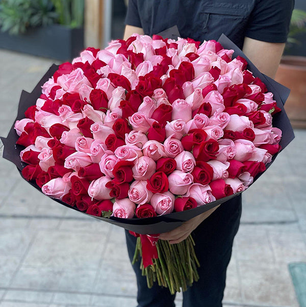 101 Red and Pink Roses Bouquet