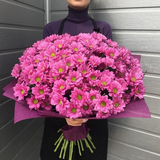 11 Pink Chrysanthemums Bouquet