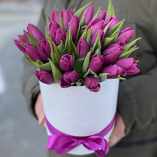 25 Purple Tulips in Box