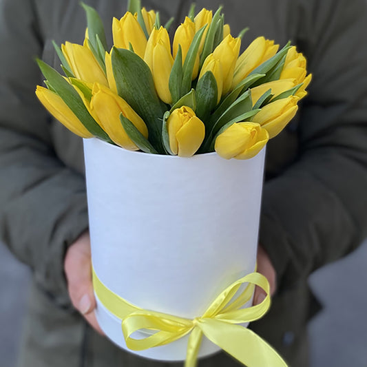 25 Yellow Tulips in Box
