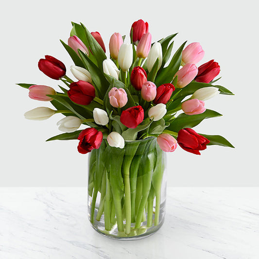 30 Mixed Tulips in Vase