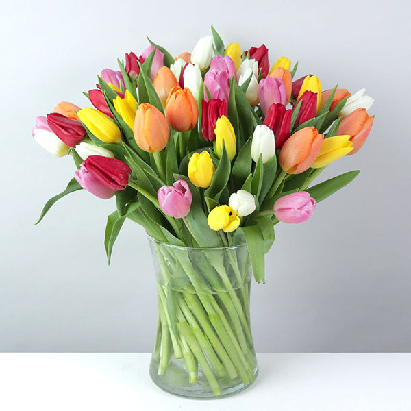 50 Mixed Tulips in Vase