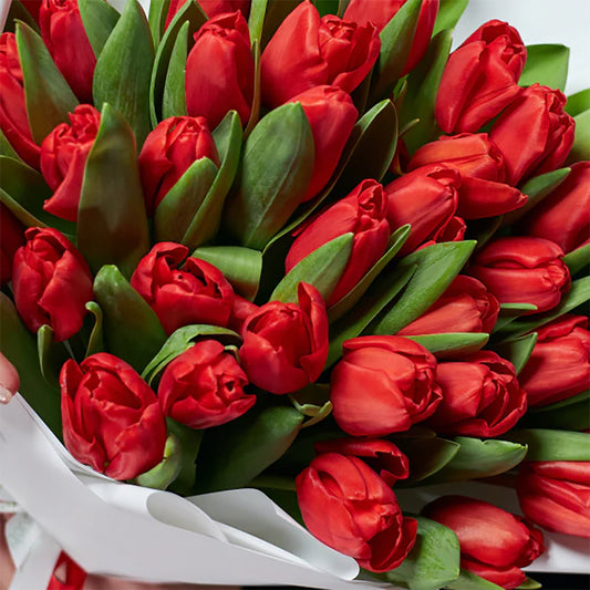 50 Red Tulips Bouquet