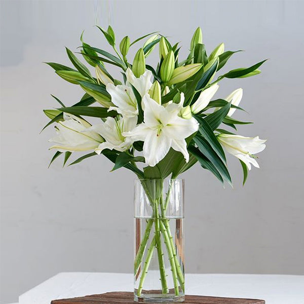 6 White Lilies in Vase